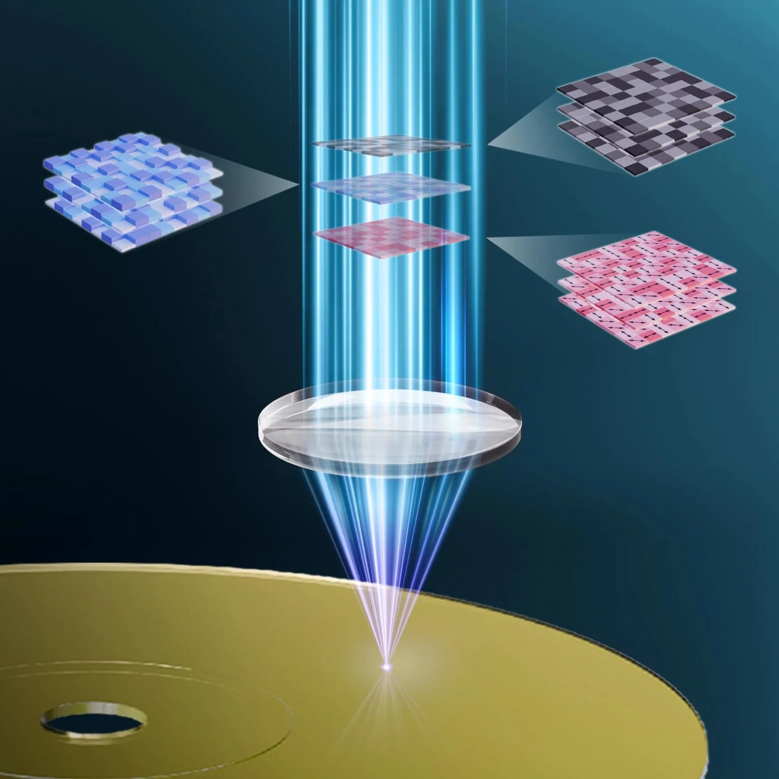 fot. Xiaodi Tan, Fujian Normal University in China