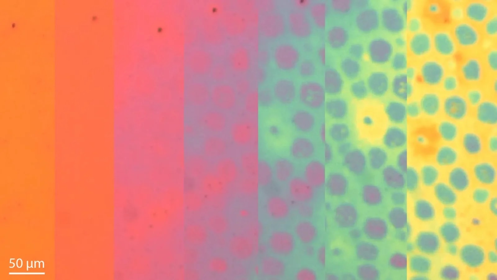 fot. Siddharth Doshi, Stanford University