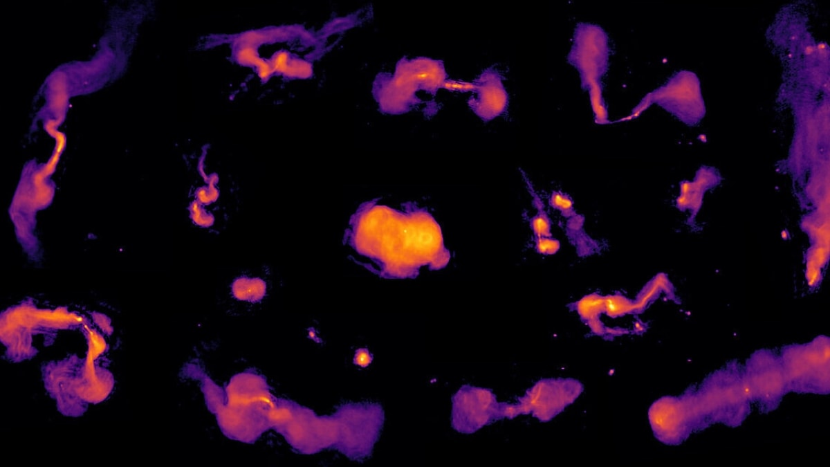 fot. Maya Horton/LoTSS-Team