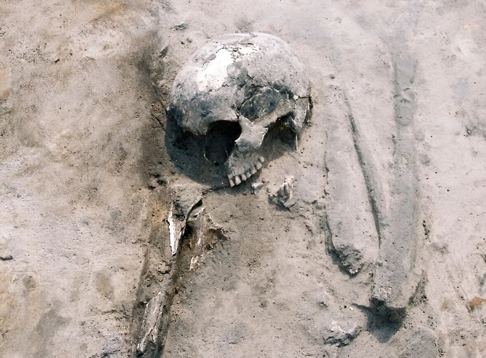 Prehistoryczne menu Europy było znacznie bardziej skomplikowane, niż sądzono