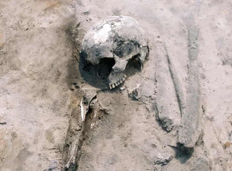 Prehistoryczne menu Europy było znacznie bardziej skomplikowane, niż sądzono
