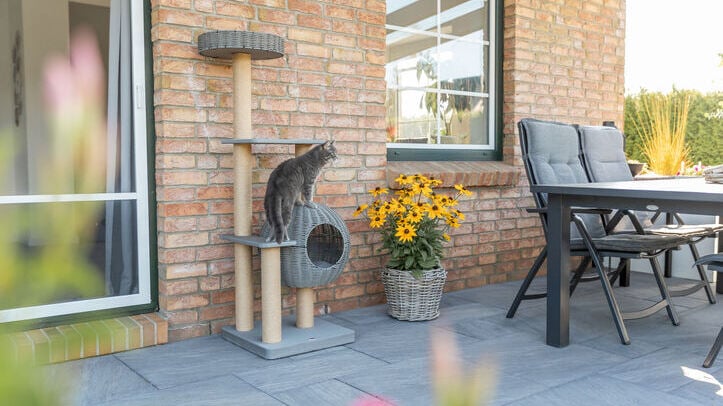 Kot na balkonie zasługuje na coś więcej niż parapet. Trixie pokazuje outdoorową serię