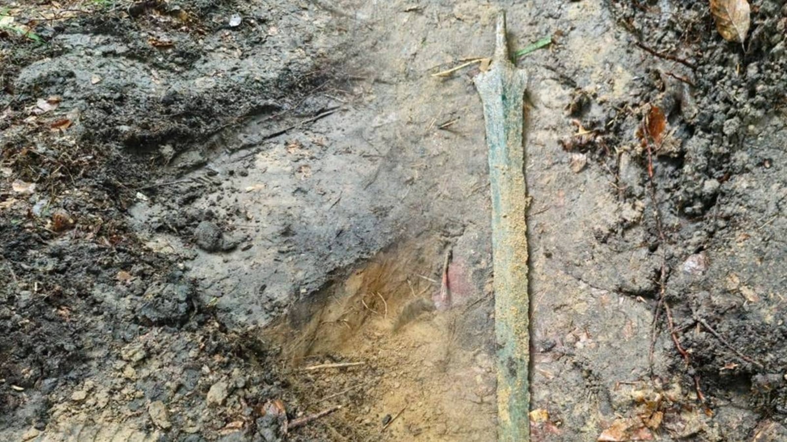 Miecz sprzed 2700 lat leżał w gdańskim lesie. To jedno z największych odkryć w historii Pomorza
