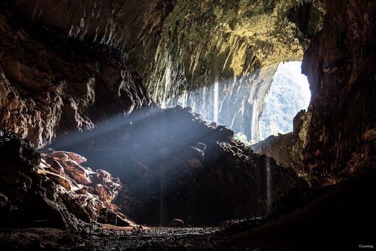 Rutynowa wyprawa zakończyła się odnalezieniem ukrytego ekosystemu. To podziemny świat na Borneo