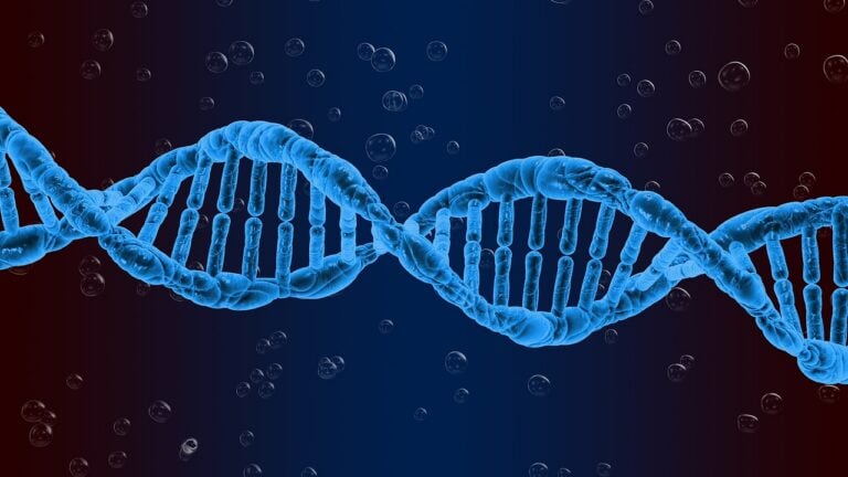 Duchy przeszłości przetrwały w naszym DNA. To pozostałość po nieznanych liniach genetycznych