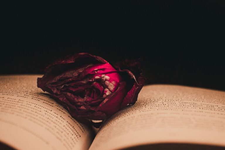 Book boyfriend czy oprawca? Gdzie kończy się dark romance, a zaczyna romantyzowanie przemocy