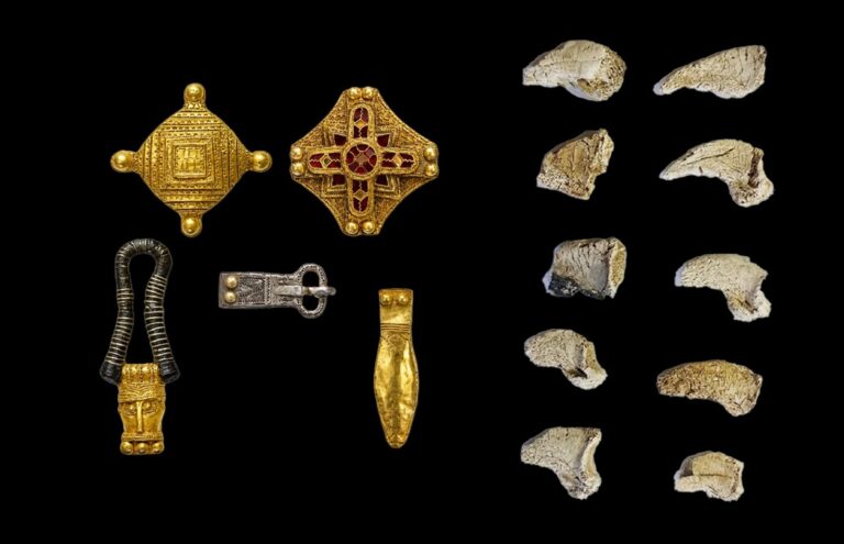 Elitarne groby, a w nich… pazury niedźwiedzia. Pochówki spod Kaliningradu zapoczątkowały archeologiczną enigmę