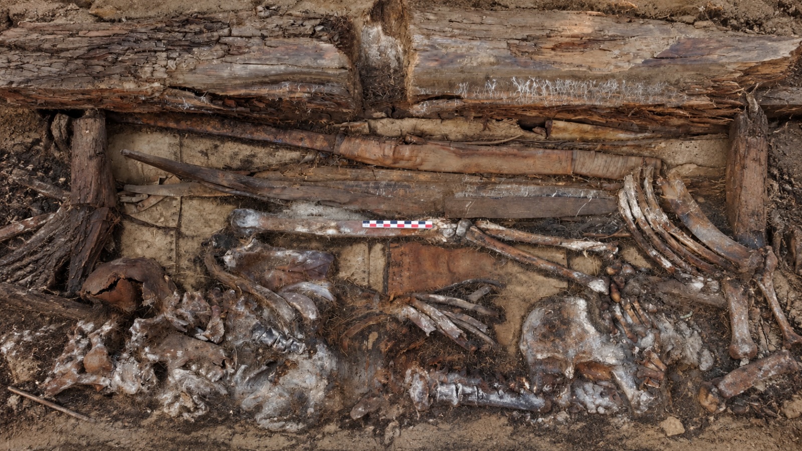 Syberyjski grób wojownika zawierał nieznany typ broni. Archeolodzy nie wiedza, czym była