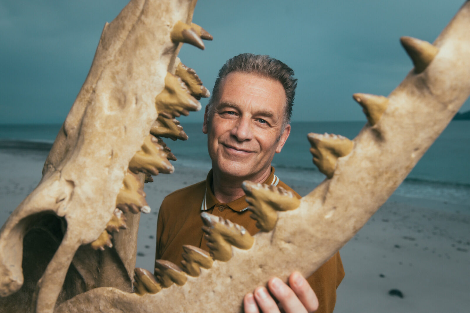 Słoń, delfin i cztery miliardy lat niezwykłych przemian. BBC Earth przypomina, jak fascynujący jest świat