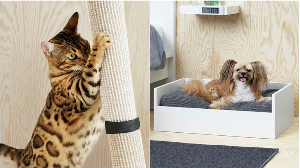 Stało się, Ikea sięga po miłośników zwierząt. Meble dla psów i kotów