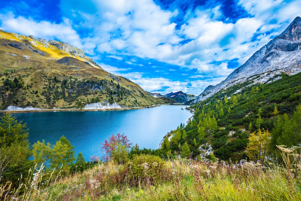 6 filarów harmonii w świecie pełnym sprzeczności