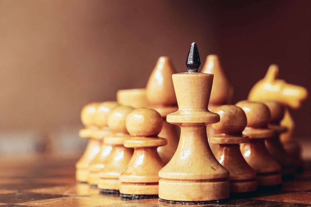 Szympansy i pszczoły, czyli co się liczy we współczesnym przywództwie