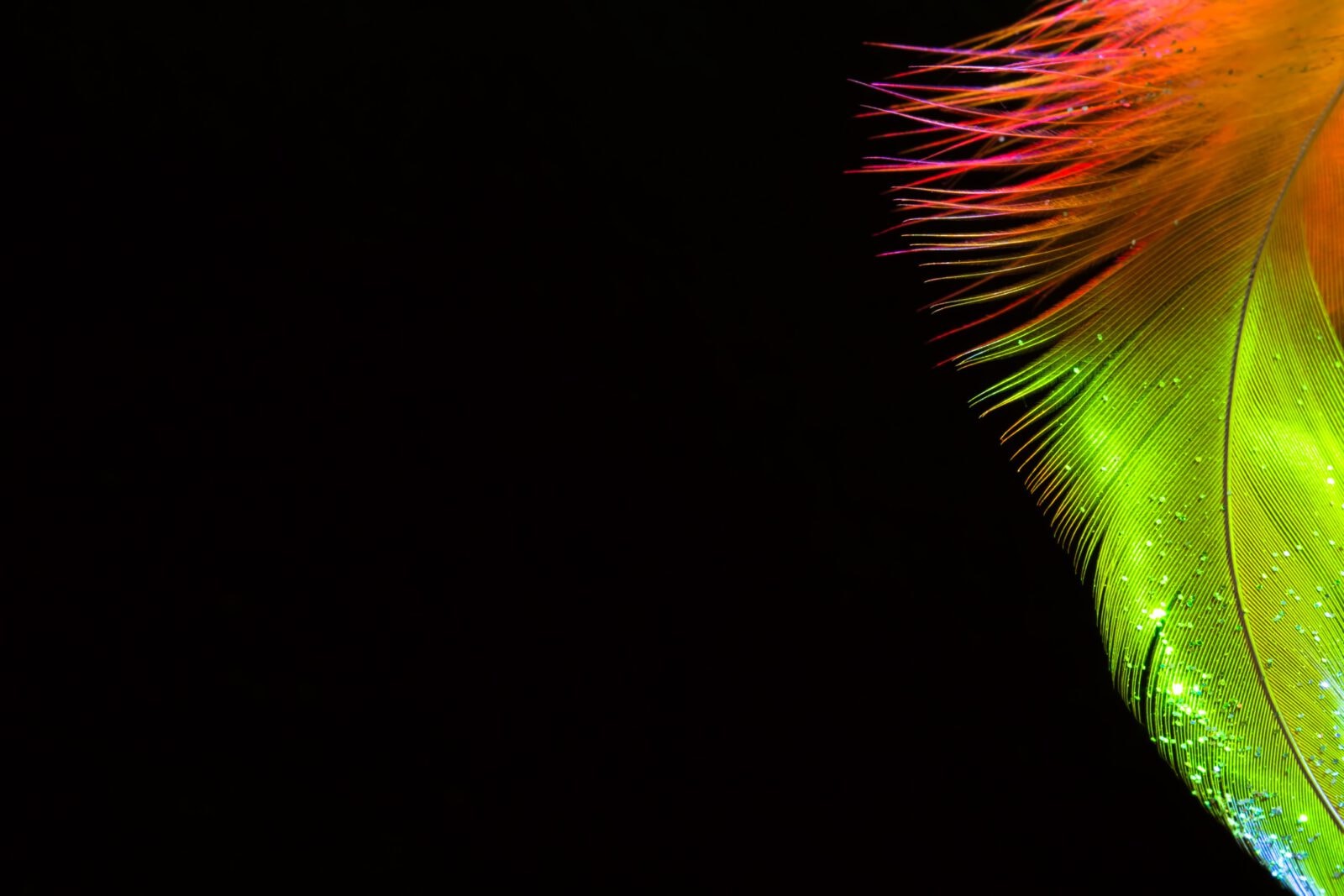 Łaskotki. Wyrafinowana gra wstępna czy jednak tortura?