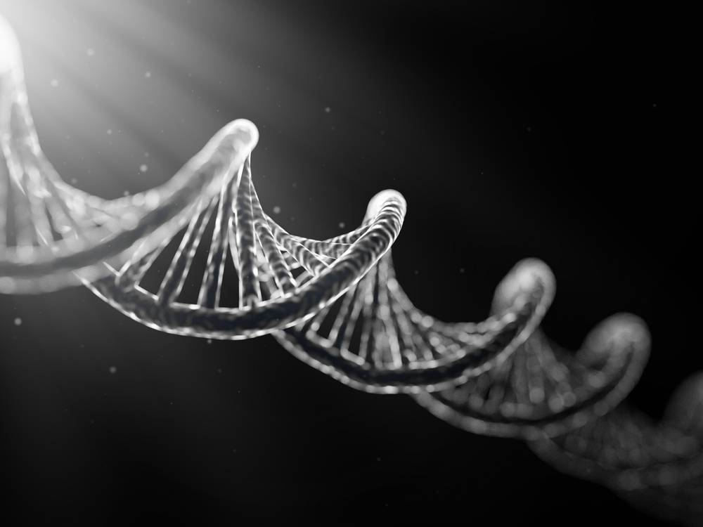 Po co nam “śmieciowe DNA”? Złe wiadomości dla zwolenników kreacjonizmu