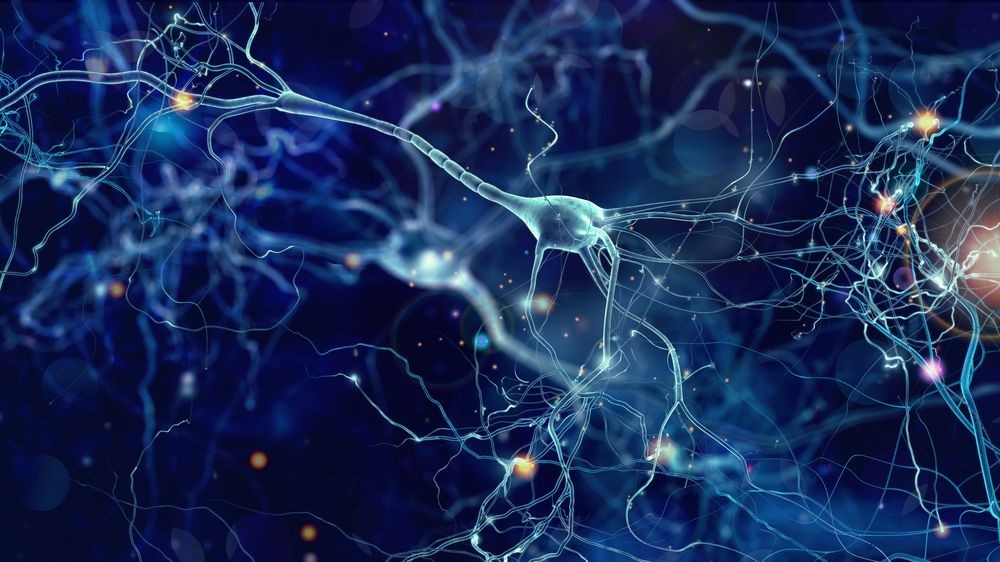 Alzheimer, Parkinson, autyzm mają związek z wadami mitochondriów. Są już pierwsze terapie