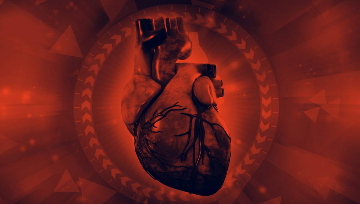 Naukowcy zdołali zregenerować fragment ludzkiego serca