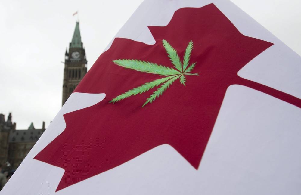 Miliony do zgarnięcia. Legalizacja marihuany w Kanadzie stworzy wielki rynek