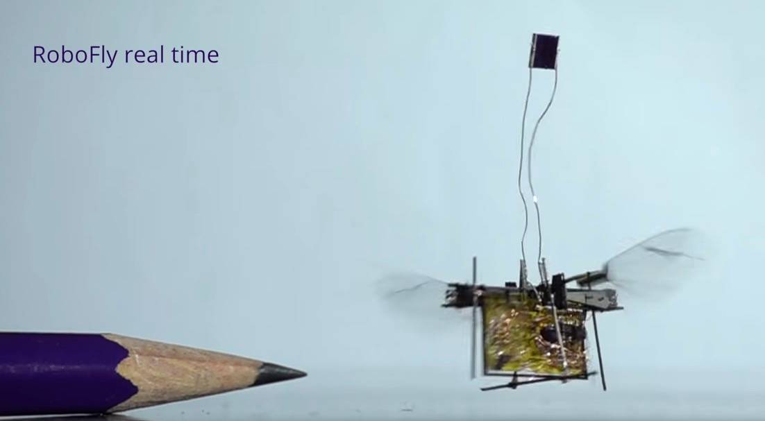 Oto pierwszy mechaniczny owad, który sam potrafi wzbić się w powietrze… bez kabla