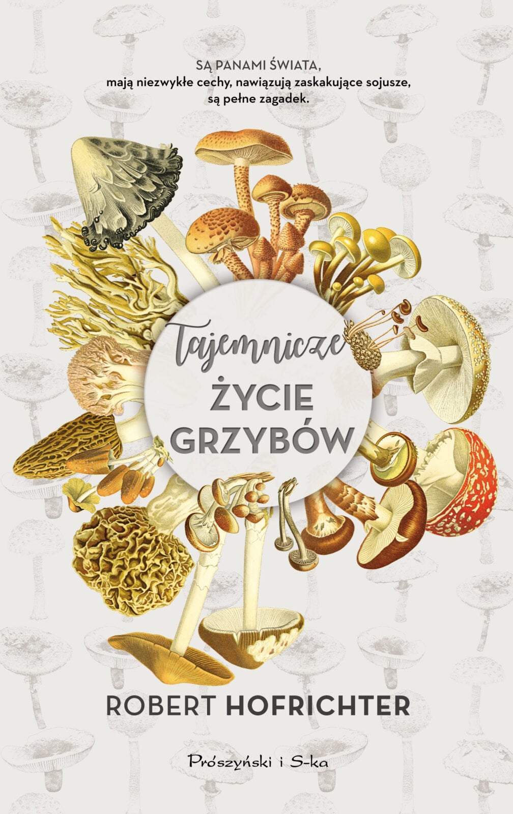 Od halucynogenów po chleb. Grzyby przydają się ludzkości od tysięcy lat