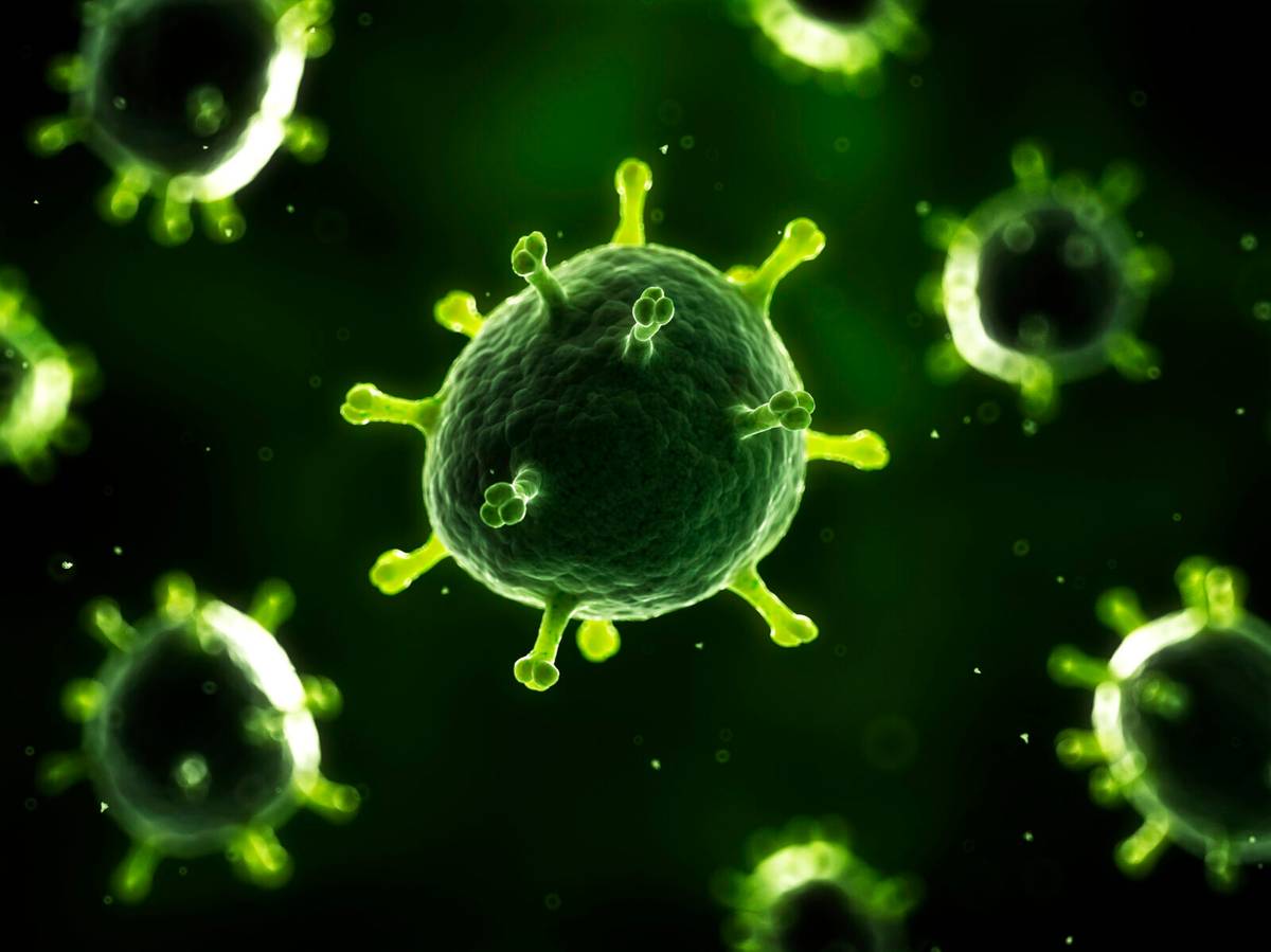 Wirusy atakujące płazy i gady mogą pomóc zrozumieć ludzkie pandemie