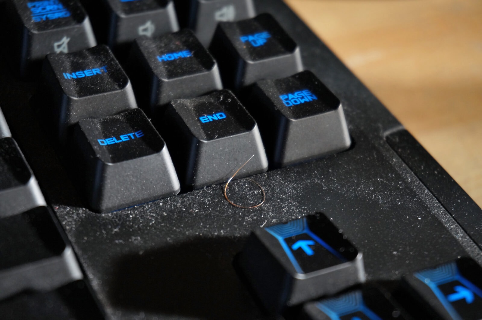 Na twoim biurku kwitnie “życie”. Po przeczytaniu będziesz chciał umyć ręce