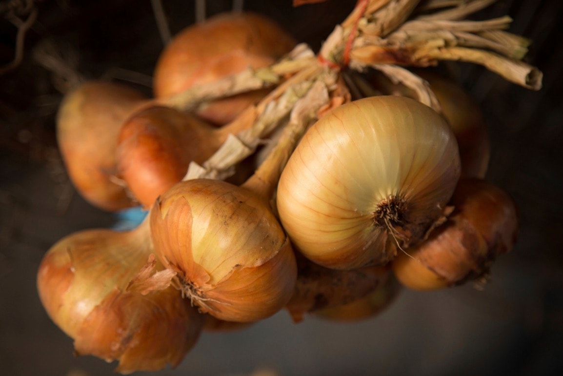 Dlaczego cebula wyciska łzy?