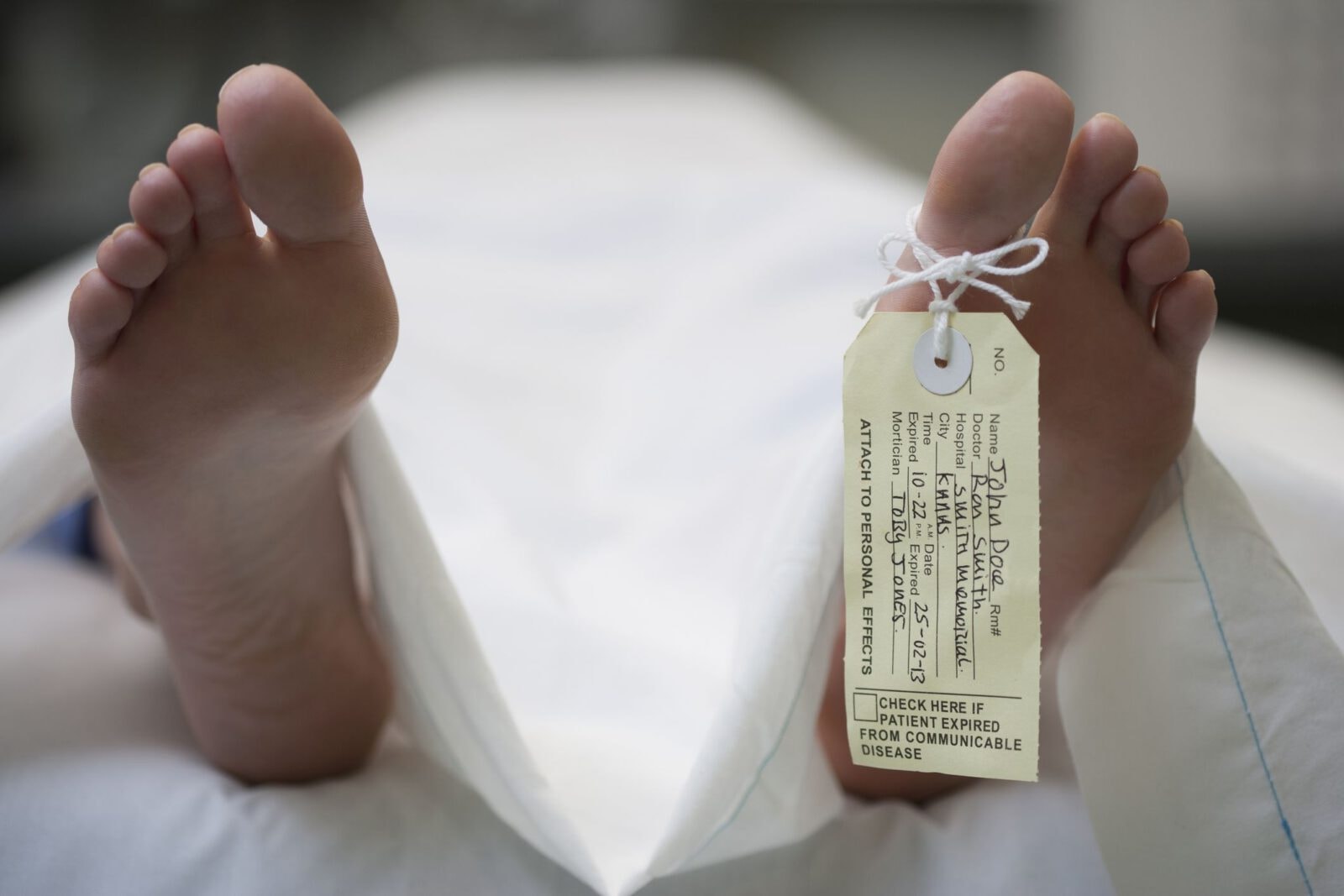 Palacz medycznych odpadów, szczurodietetyk. 10 najgorszych zawodów świata