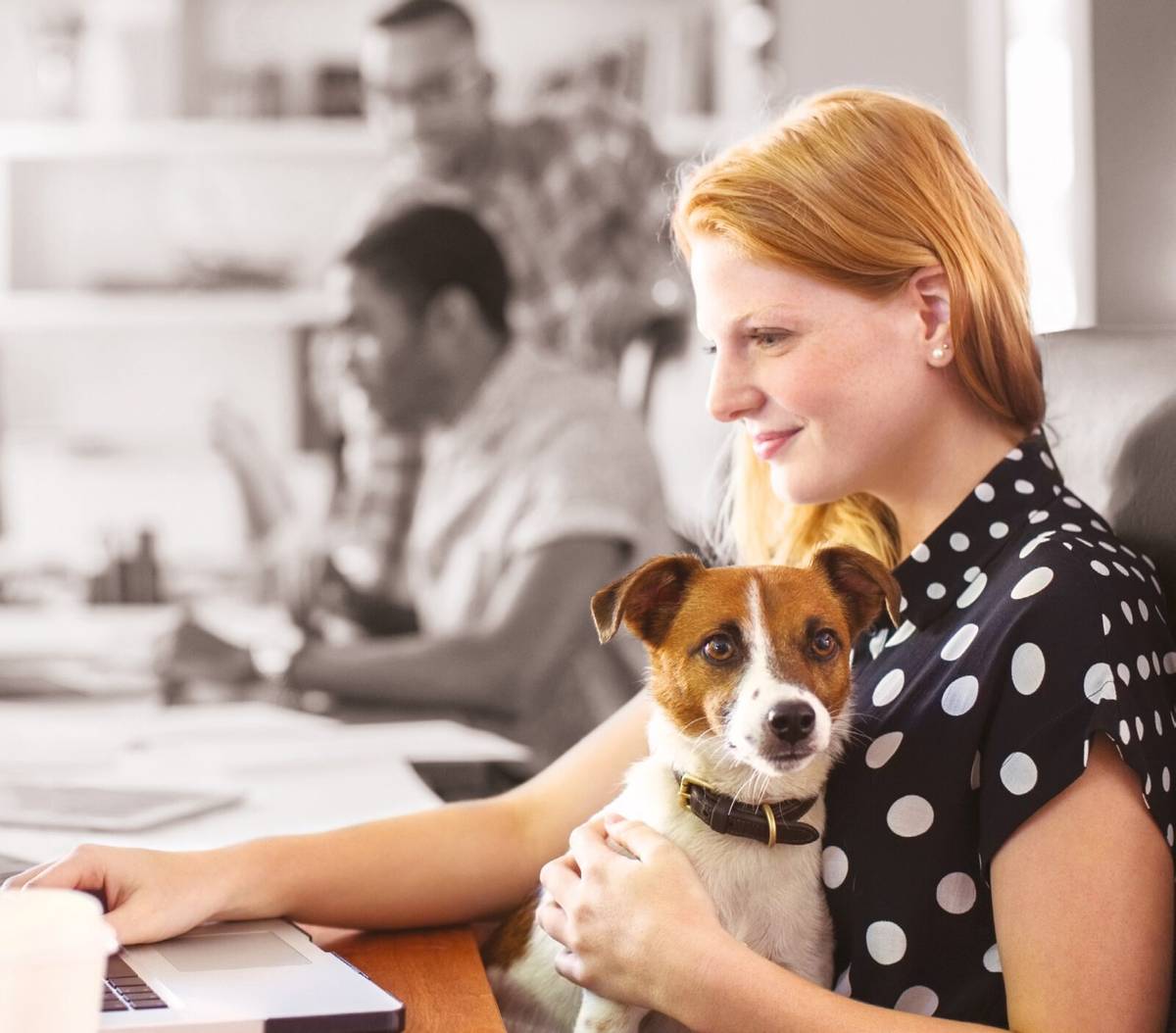 Pies to biurowy uspokajacz? Poznaj Pets at Work i mądrze podejdź to tematu
