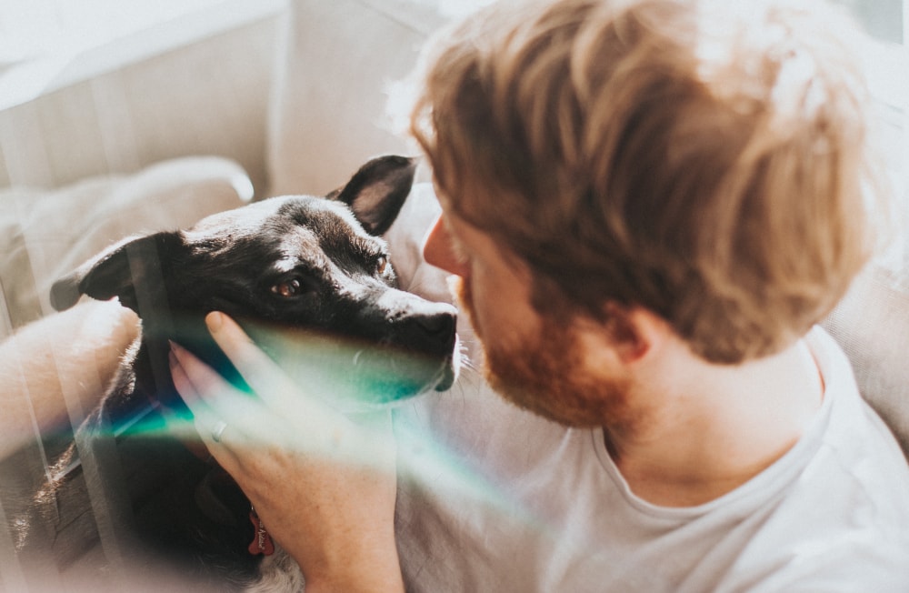 Graj ze mną fair, bo czuję to samo, co ty. Naukowe dowody na moralność zwierząt