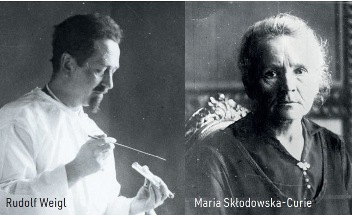 Polscy naukowcy na wojnie. Co robili Skłodowska-Curie, Hirszfeld i Weigl zanim Polska odzyskała niepodległość?