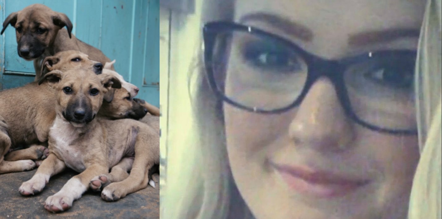 Bawiła się z bezdomnym szczeniakiem. Norweżka zmarła na wściekliznę