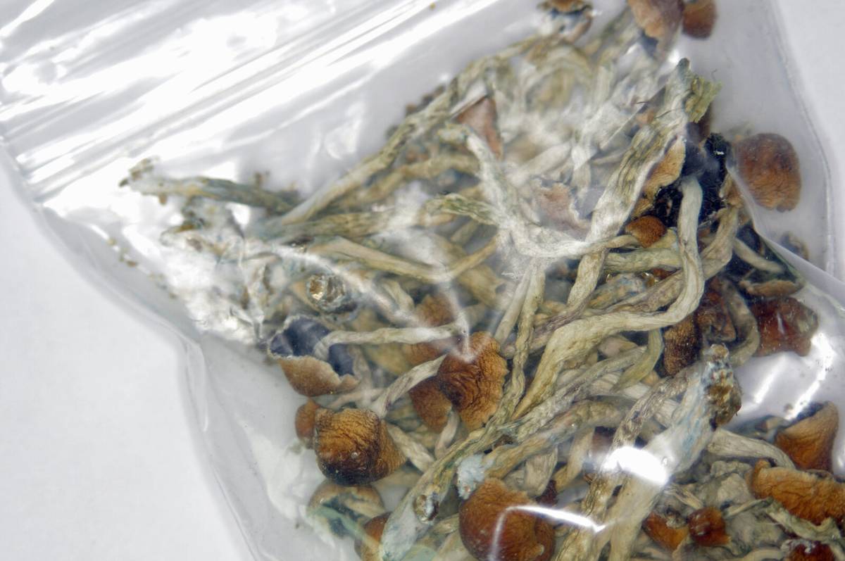 Mieszkańcy Denver mogą posiadać i hodować grzybki halucynogenne. “Rozluźniono” prawo