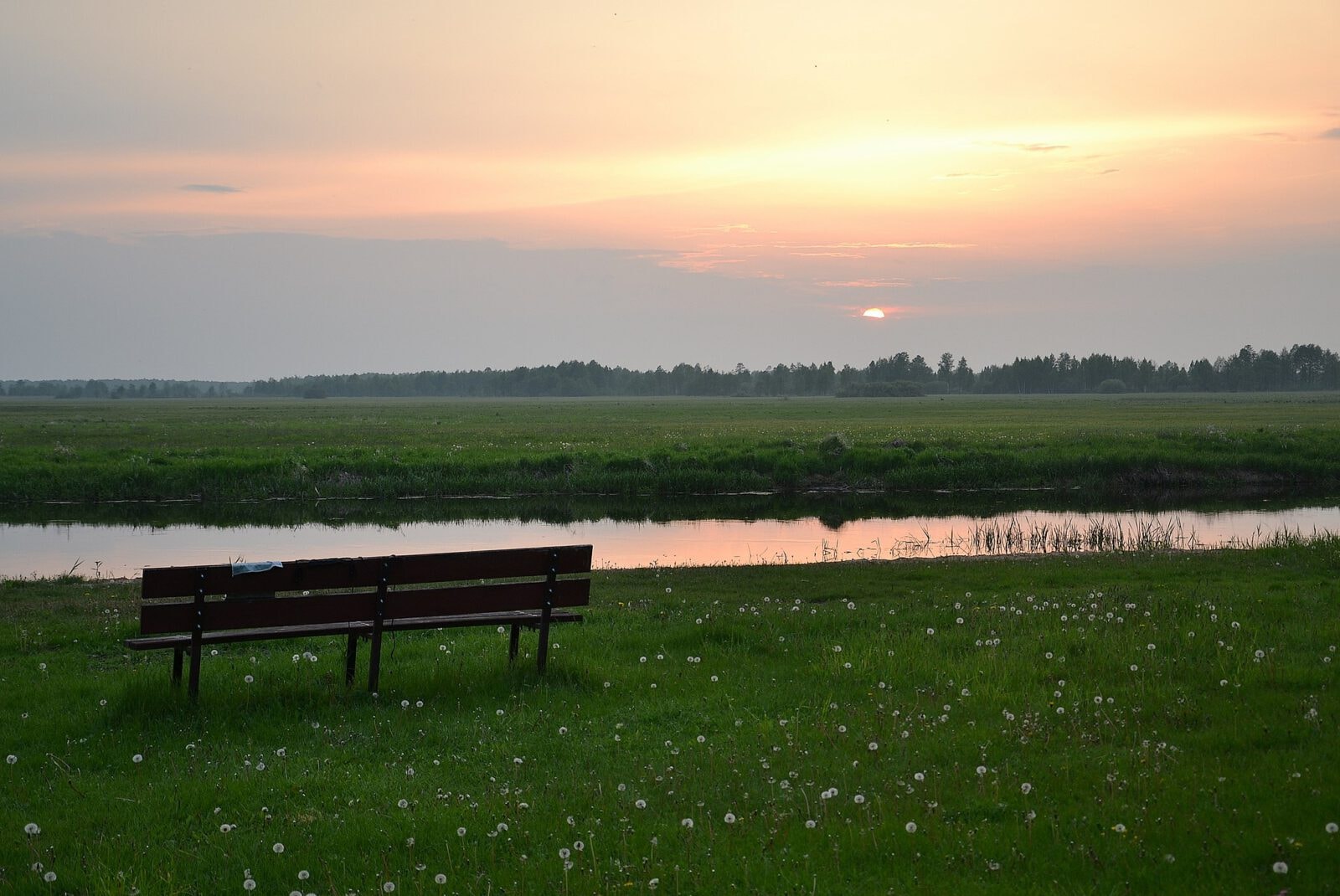 Droga przetnie Mazury i Dolinę Biebrzy. “Szykuje się druga Rospuda”