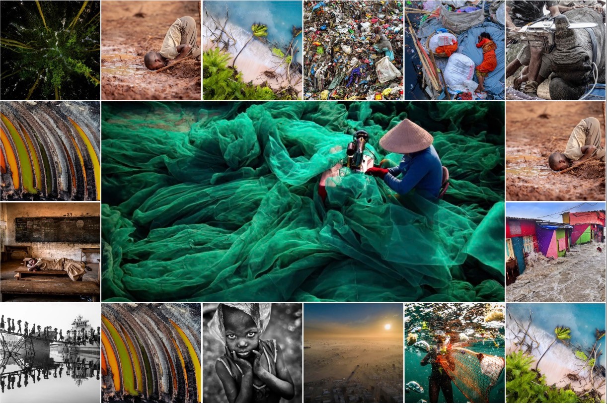 Te zdjęcia aż krzyczą. Zwycięzcy Environmental photographer of the year 2019