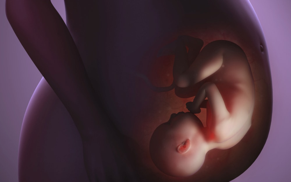 Smog przenika przez łożysko. “Nie wietrzcie domów naprzeciwko ruchliwej ulicy”