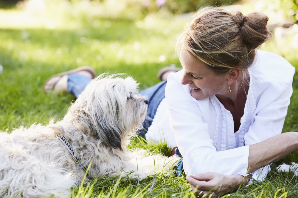 Zwierzęta z nami rozmawiają. Naukowcy wiedzą, jak się wzajemnie dogadać
