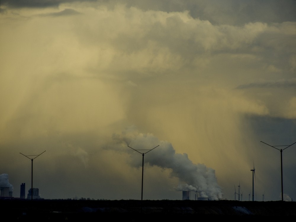 11 tys. naukowców ogłasza stan zagrożenia dla ludzkości. Czeka nas ”niewyobrażalne cierpienie”