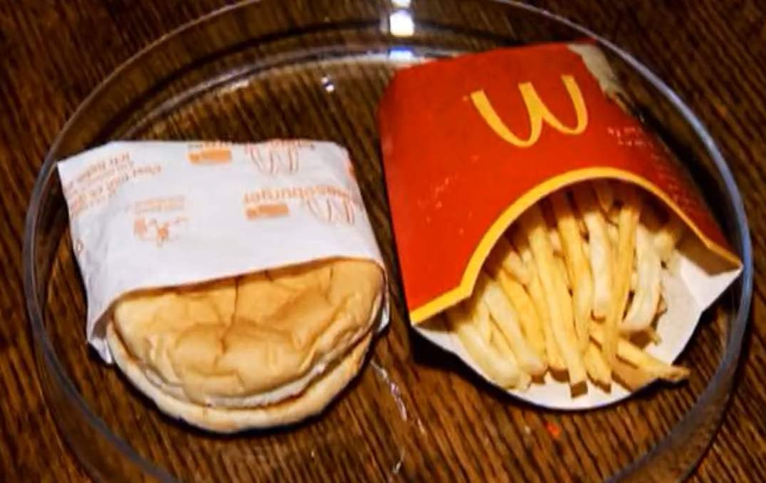Jak burger z frytkami wygląda po 10 latach? Prawie tak samo – eksperyment pewnego Islandczyka