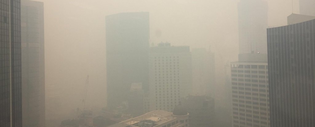 Australia dusi się po pożarach. “Żyjemy w morzu dymu i pyłu”