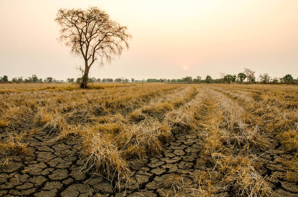 Zmiany klimatu – klęska suszy coraz bliżej?