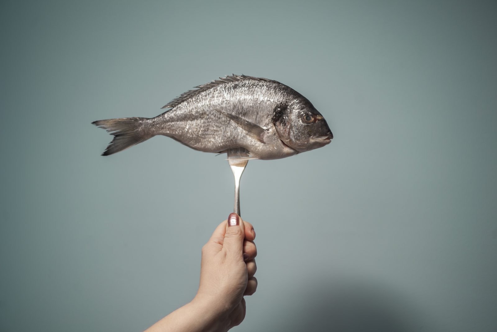 Zła wiadomość dla fanów diety paleo. Oryginalna zawierała metale ciężkie