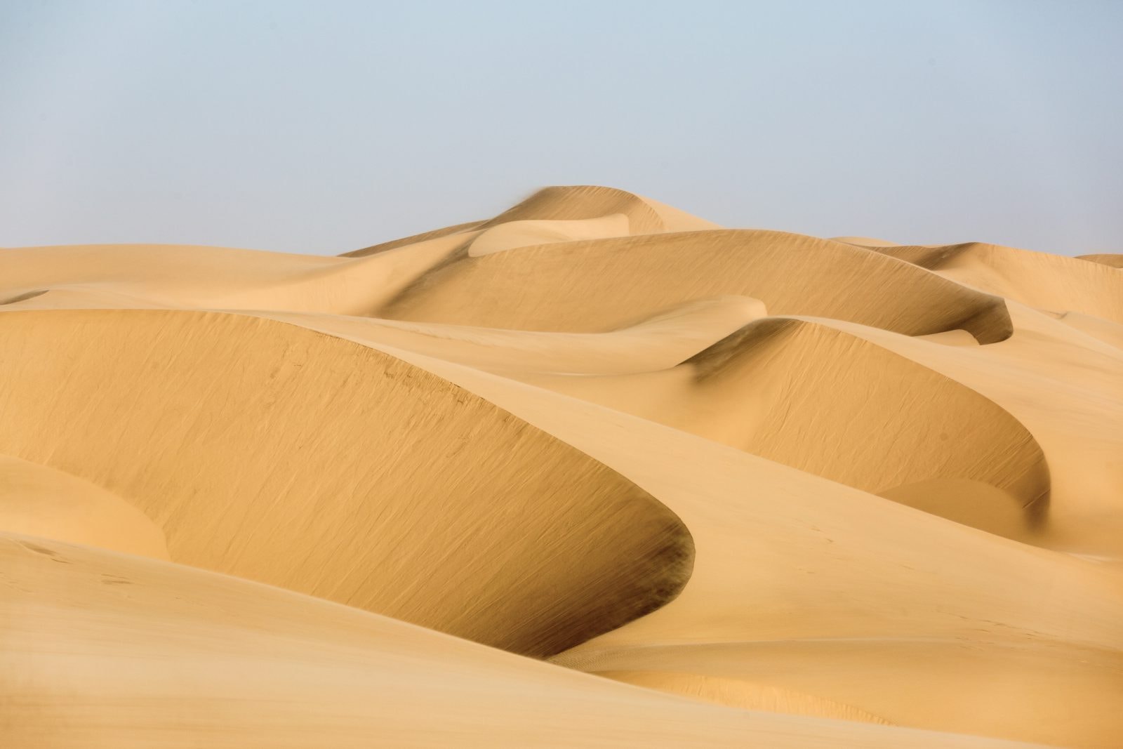 Przełomowe odkrycie fizyków. Wydmy potrafią się „komunikować”