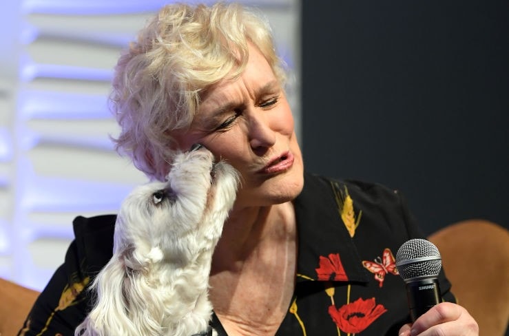 Pies lepszy niż druga połówka. Zadziwiające badania Kennel Club