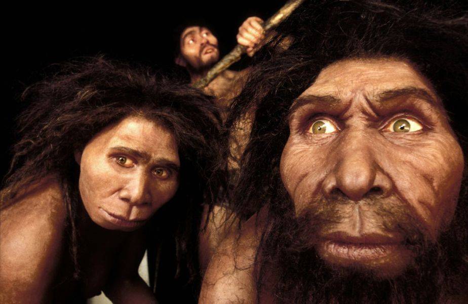 Homo erectus żył jeszcze 100 tys. lat temu. Wyginął przez ocieplenie klimatu? Nowe teorie