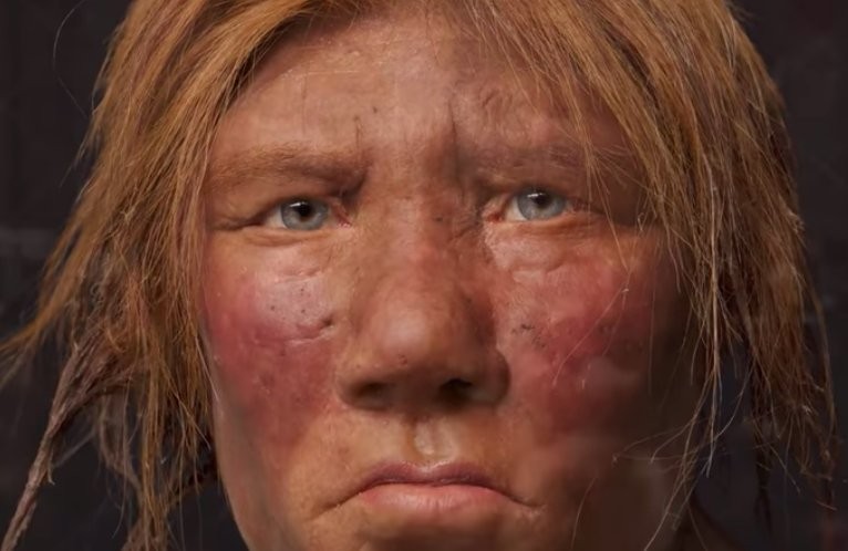 Wszyscy współcześni ludzie mają w sobie DNA neandertalczyka – właśnie to odkryto