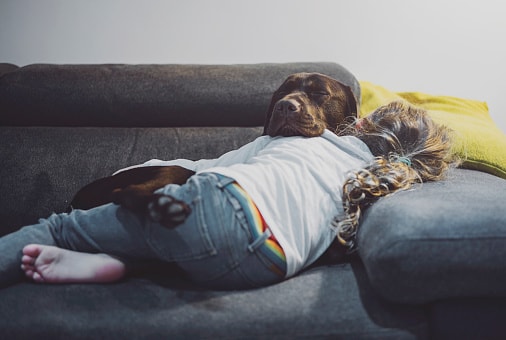 Pies w domu chroni przed schizofrenią? Zaskakujące wyniki badań