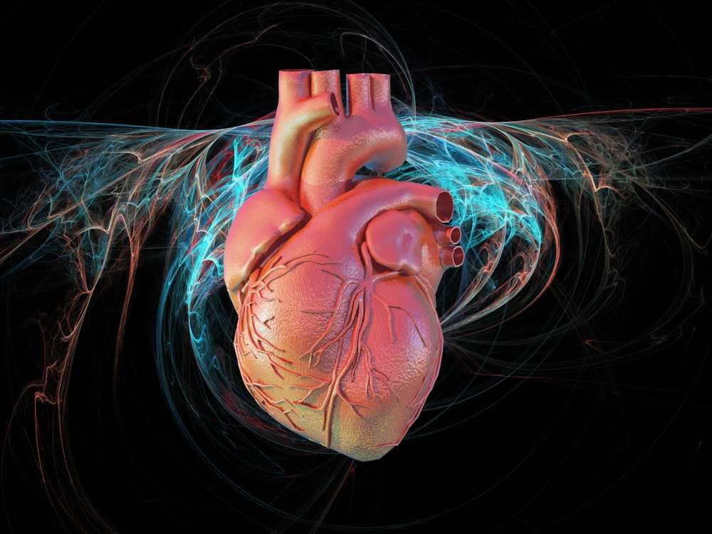 Łatanie serca komórkami z laboratorium zamiast przeszczepu. Japończycy testują nowe podejście