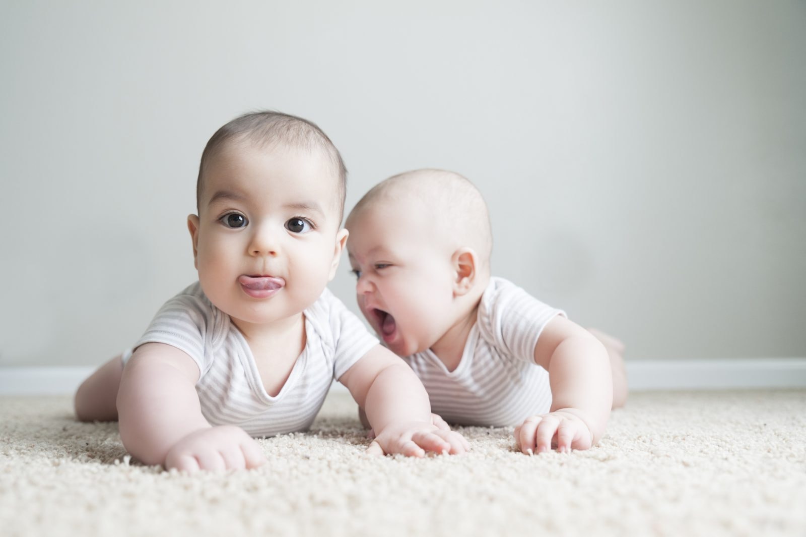 Dlaczego niektóre bliźnięta nie są identyczne? Biolodzy rozwikłali tę ewolucyjną zagadkę