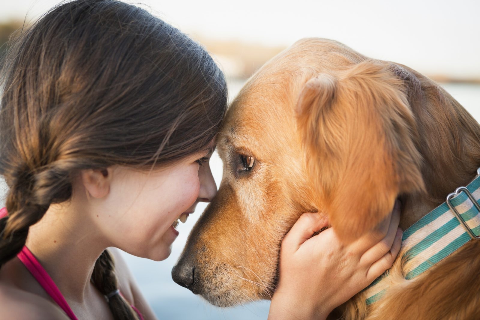 Trudne dojrzewanie dotyczy też psów. Przechodzą swój „nastoletni bunt”