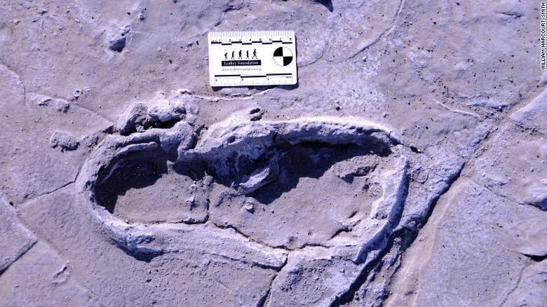 Odszyfrowano ślady stóp sprzed 19 000 lat. Wiele mówią o Homo sapiens